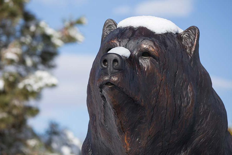 被雪覆盖的青铜熊